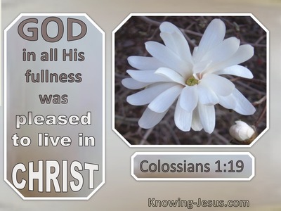 Colossians 1:19 God In All His Fullness Was Pleased To Live In Christ (windows)08:30